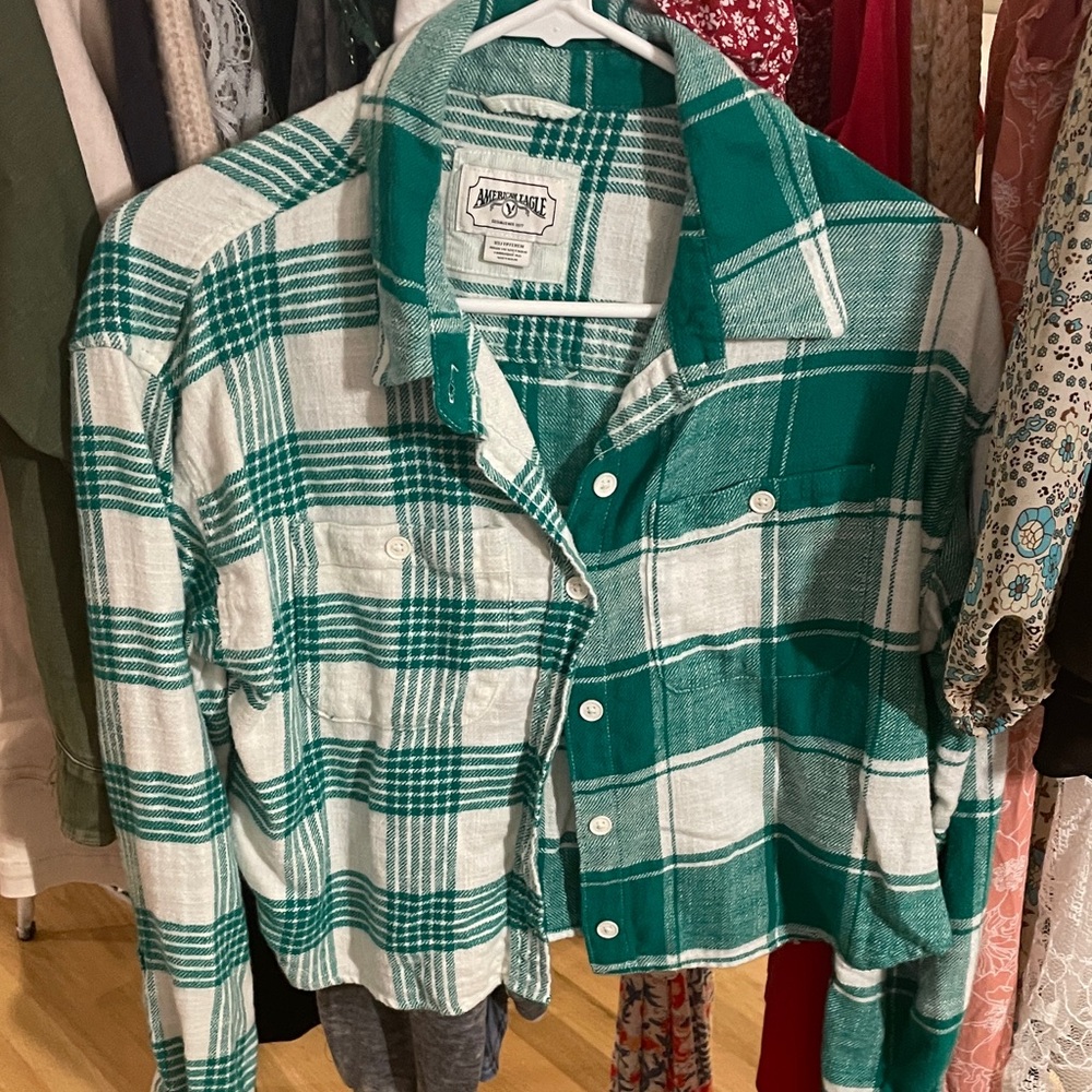 American Eagle Outfitters Teal and White Plaid Crop Top